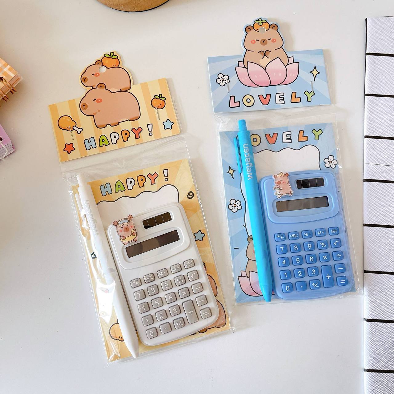 Small Calculator with pen